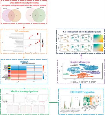 Identification of new co-diagnostic genes for sepsis and metabolic syndrome using single-cell data analysis and machine learning algorithms